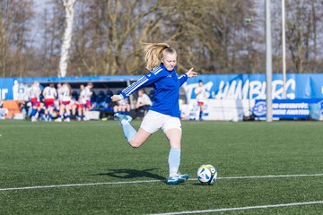 Bild 132 - F Hamburger SV 3 - Blau-Weiss 96 : Ergebnis: 5:1